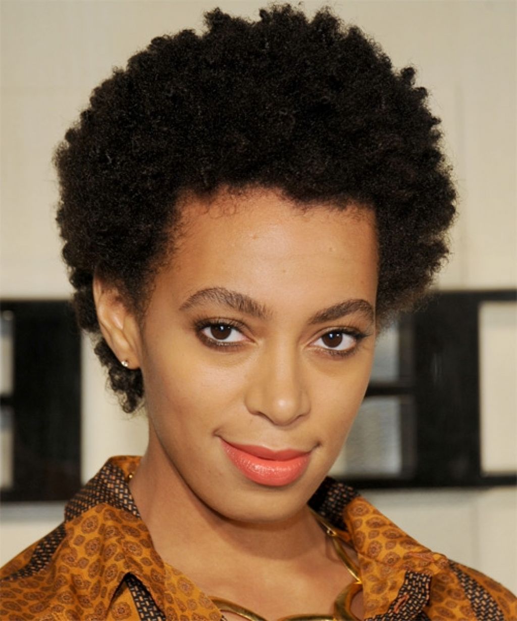 Short Natural Hair Looks