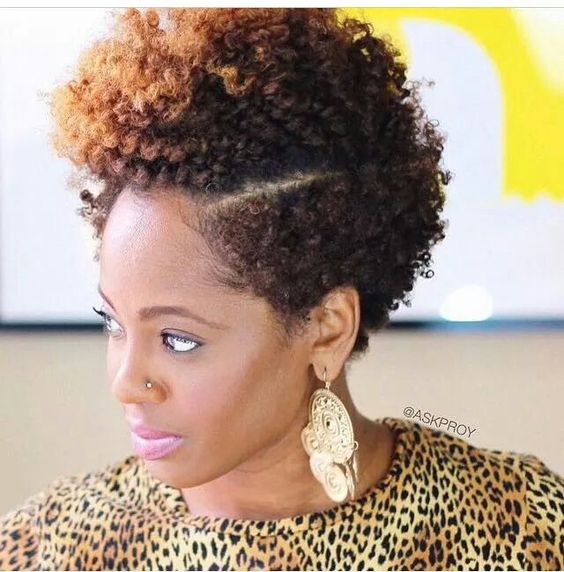 Natural Hairstyles 21 15 Cute Natural Hairstyles For Black Women