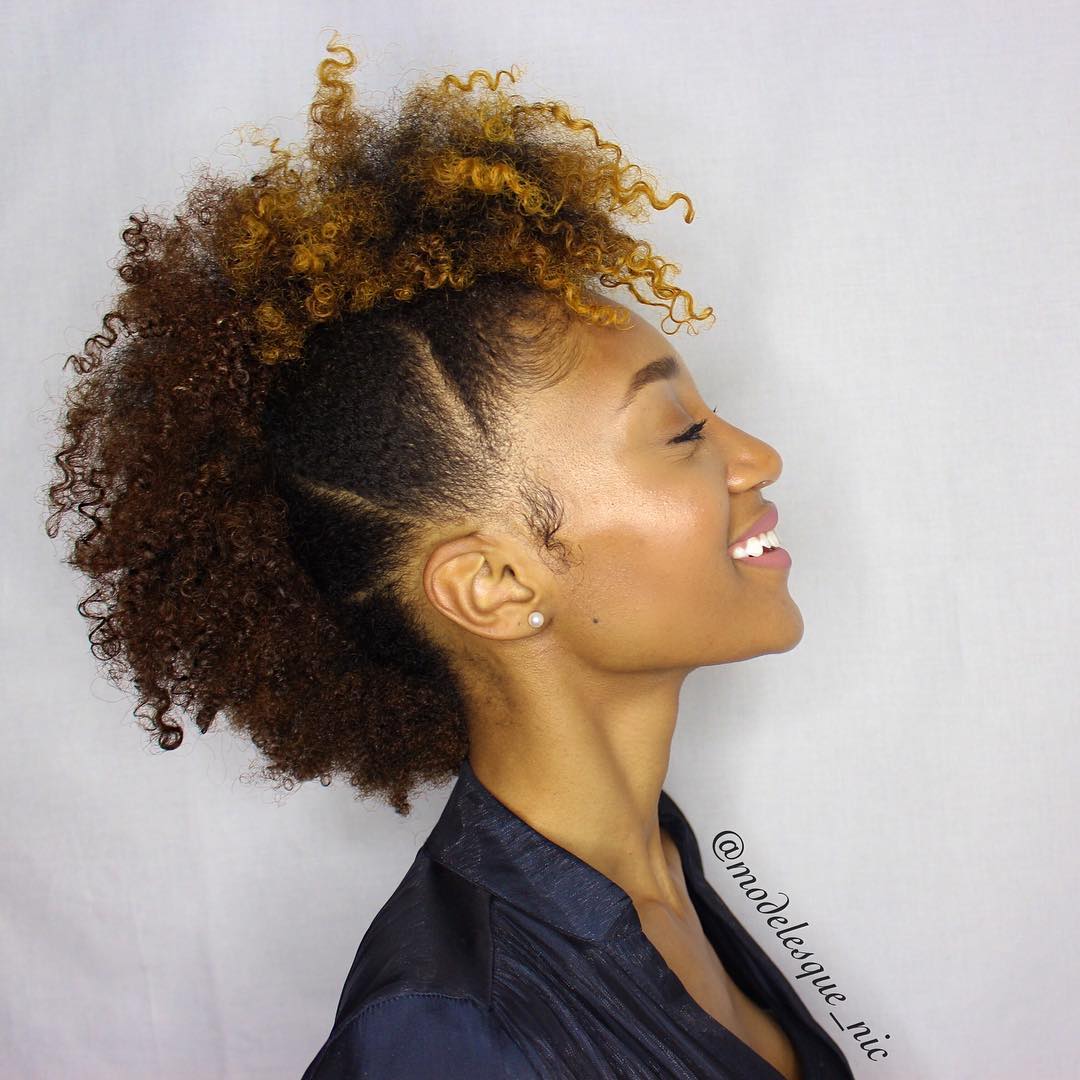 18++ Hairstyles for black natural curly hair information