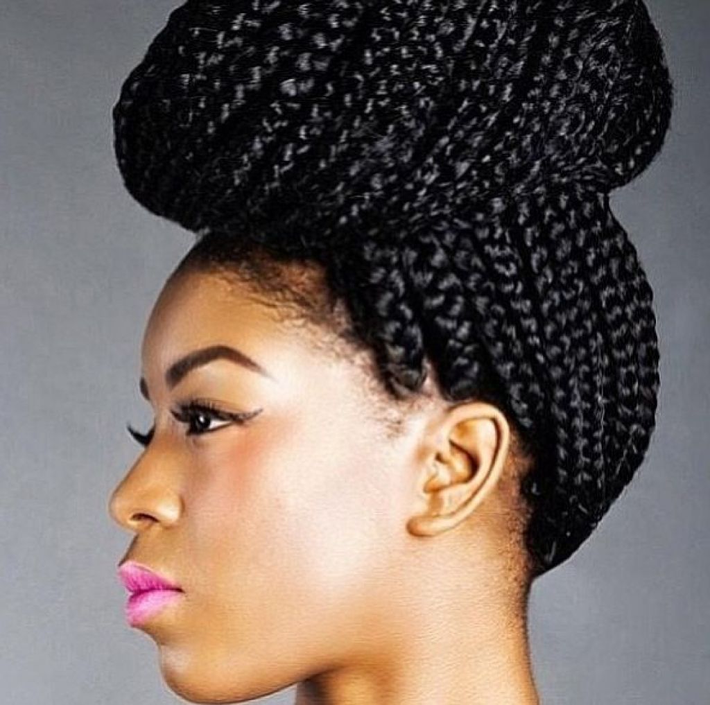 African Braids Hairstyles Pictures